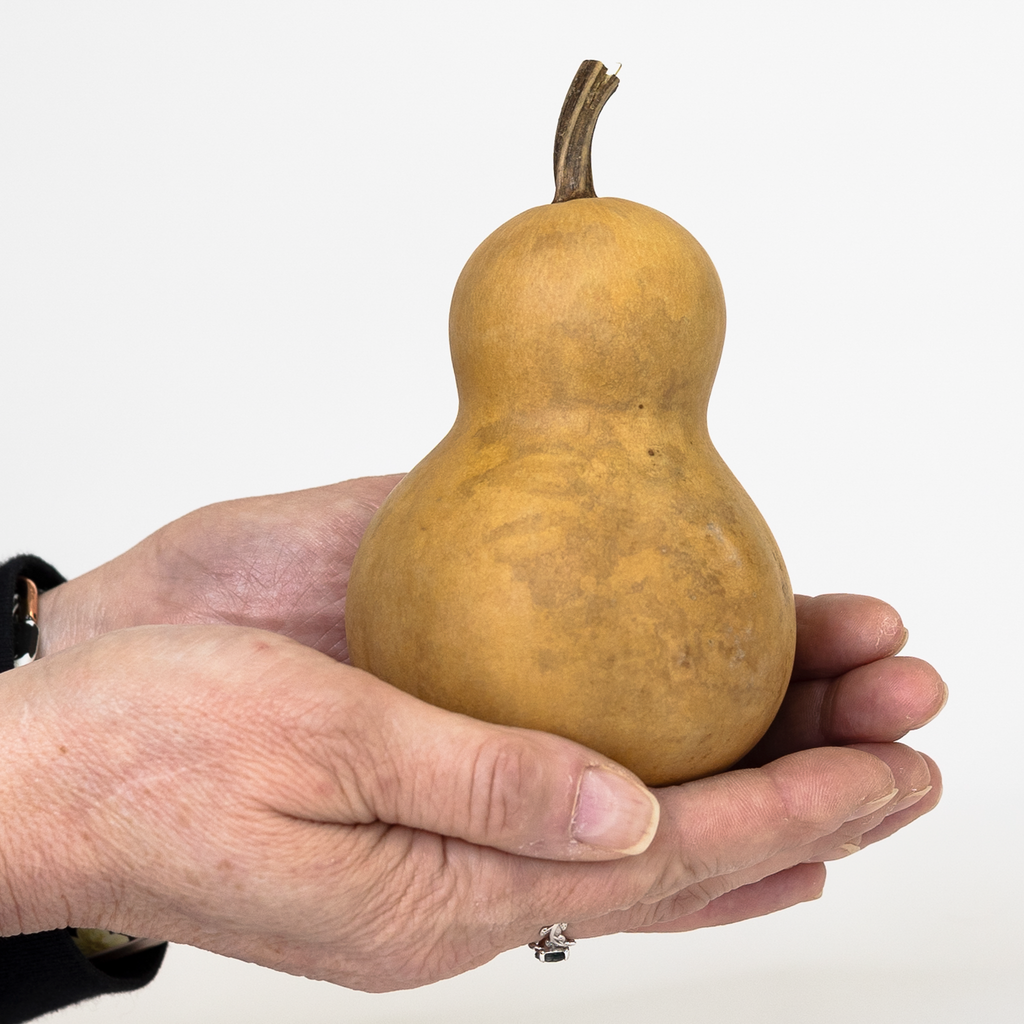 Dried Bottle Gourd - 3" in Diameter