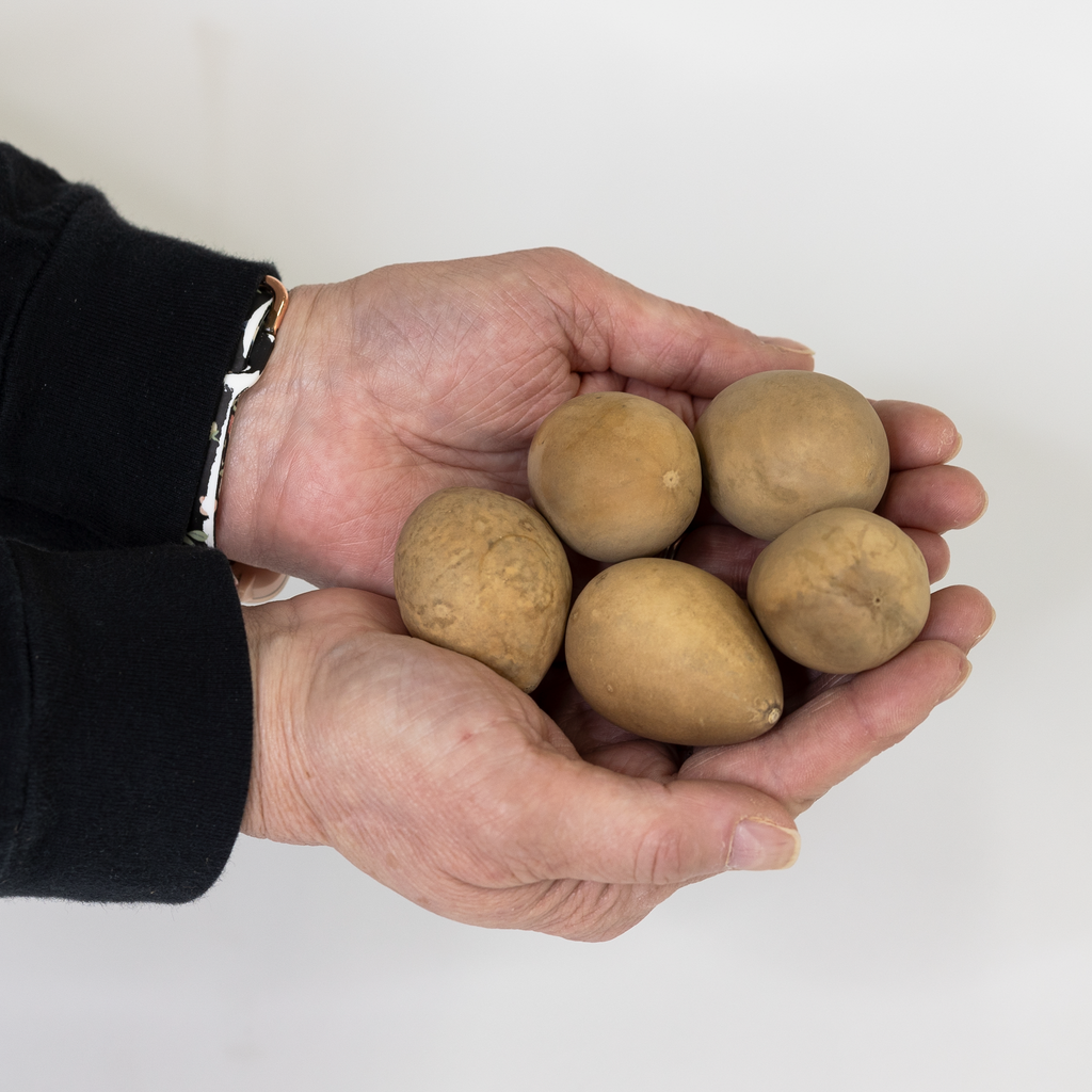 Dried Hen Gourd Eggs
