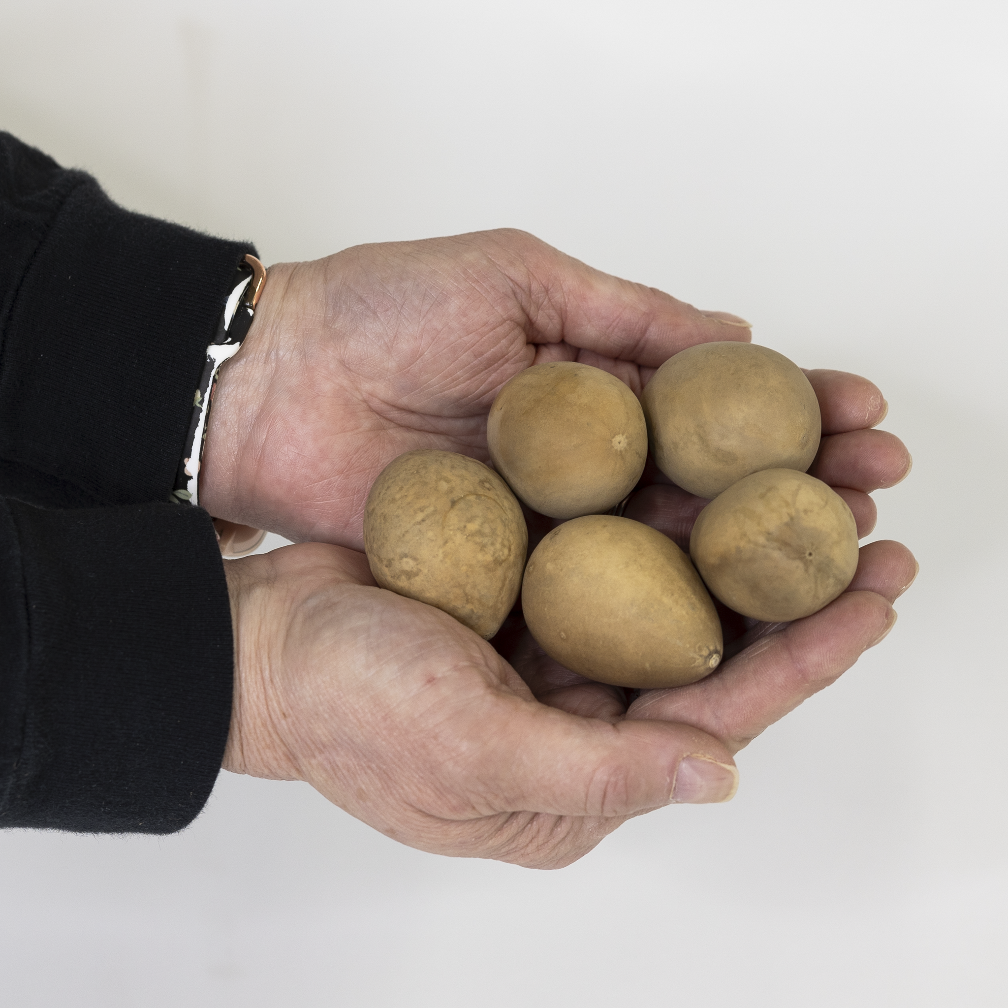 Dried Hen Gourd Eggs