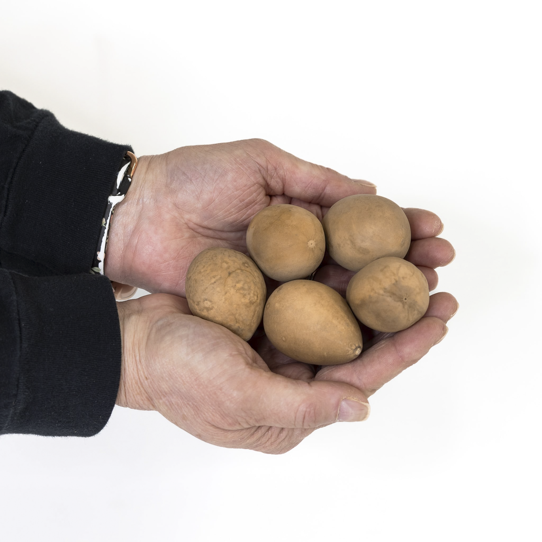 Dried Medium Gourd Eggs