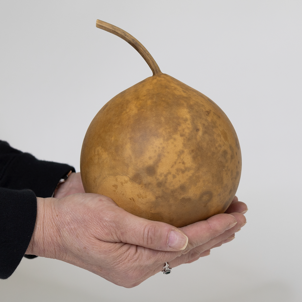Dried Cannonball Gourd - 4" Diameter