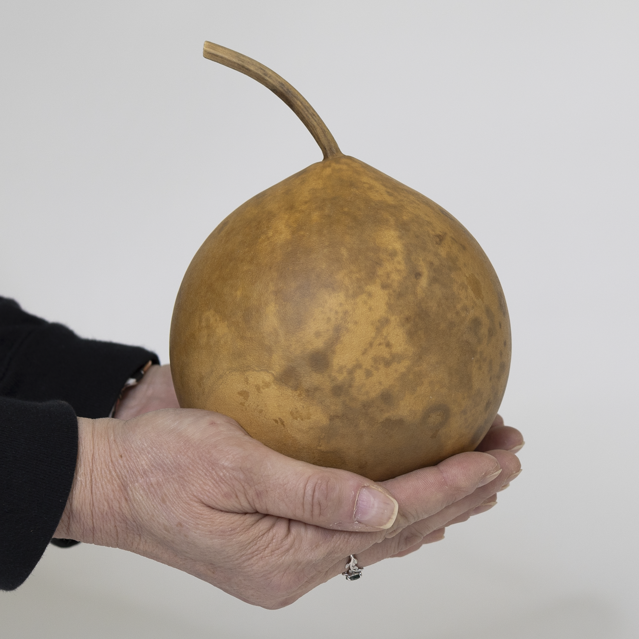 Dried Cannonball Gourd - 4" Diameter