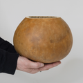 Dried 8" Straight Cut Gourd Bowl