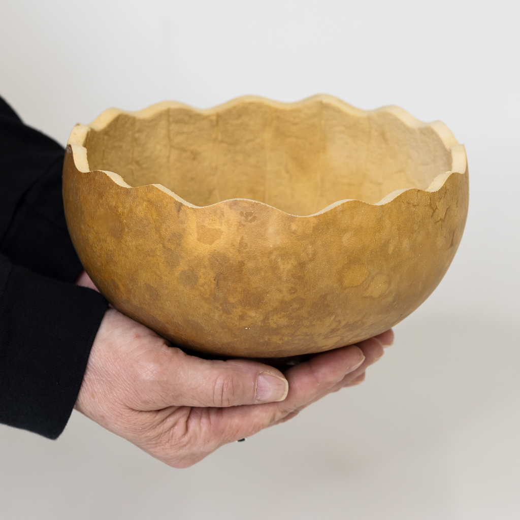 Dried 7" Scalloped Cut Gourd Bowl