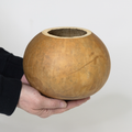 Dried 6" Straight Cut Gourd Bowl