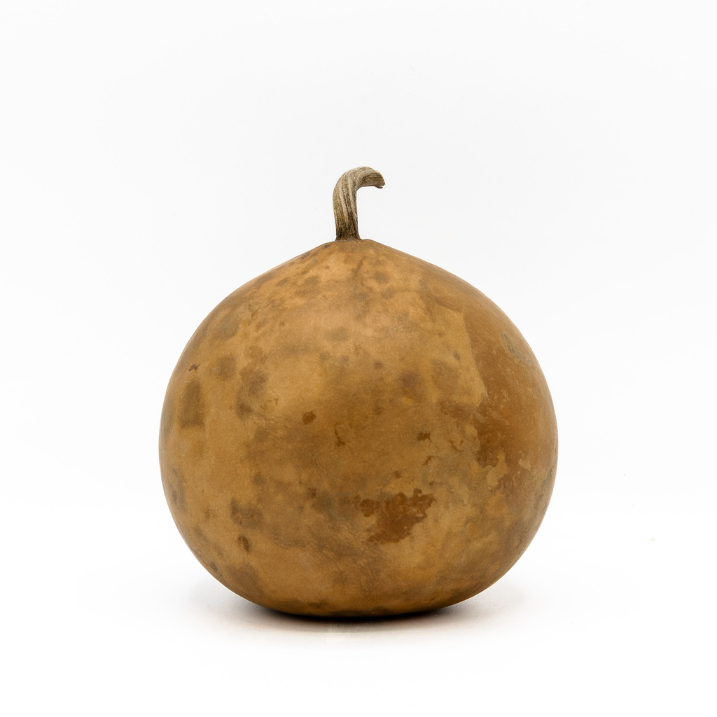 Dried Cannonball Gourd - 4" Diameter