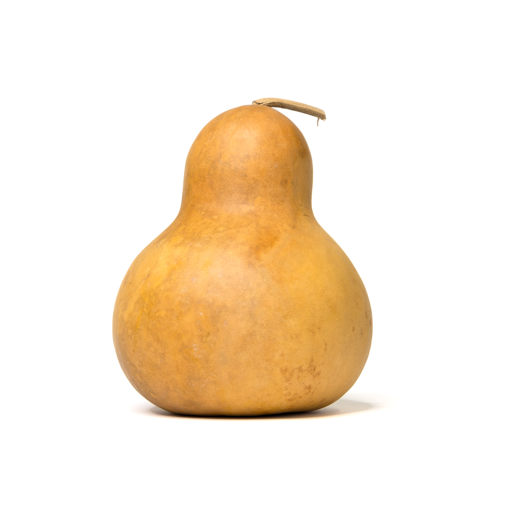 Dried Bottle Gourd - 6" in Diameter