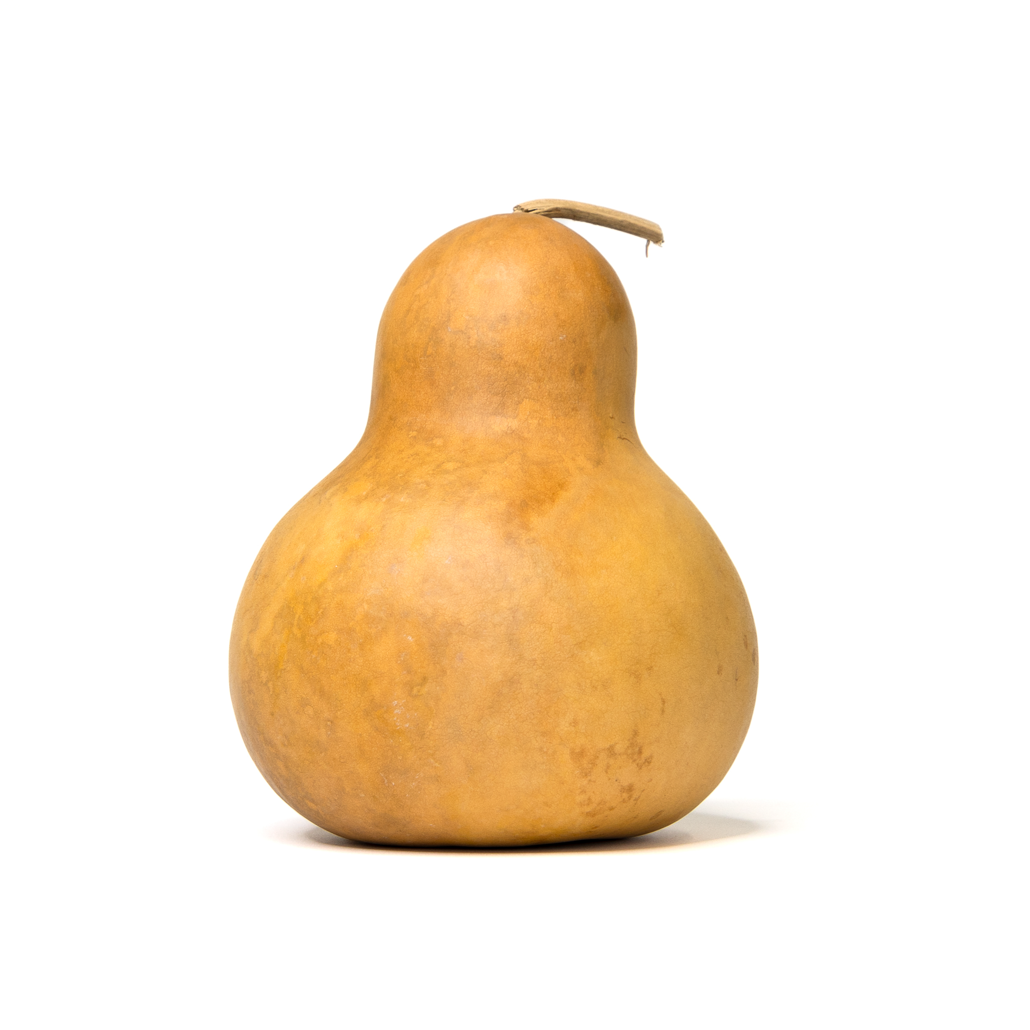 Dried Bottle Gourd - 6" in Diameter