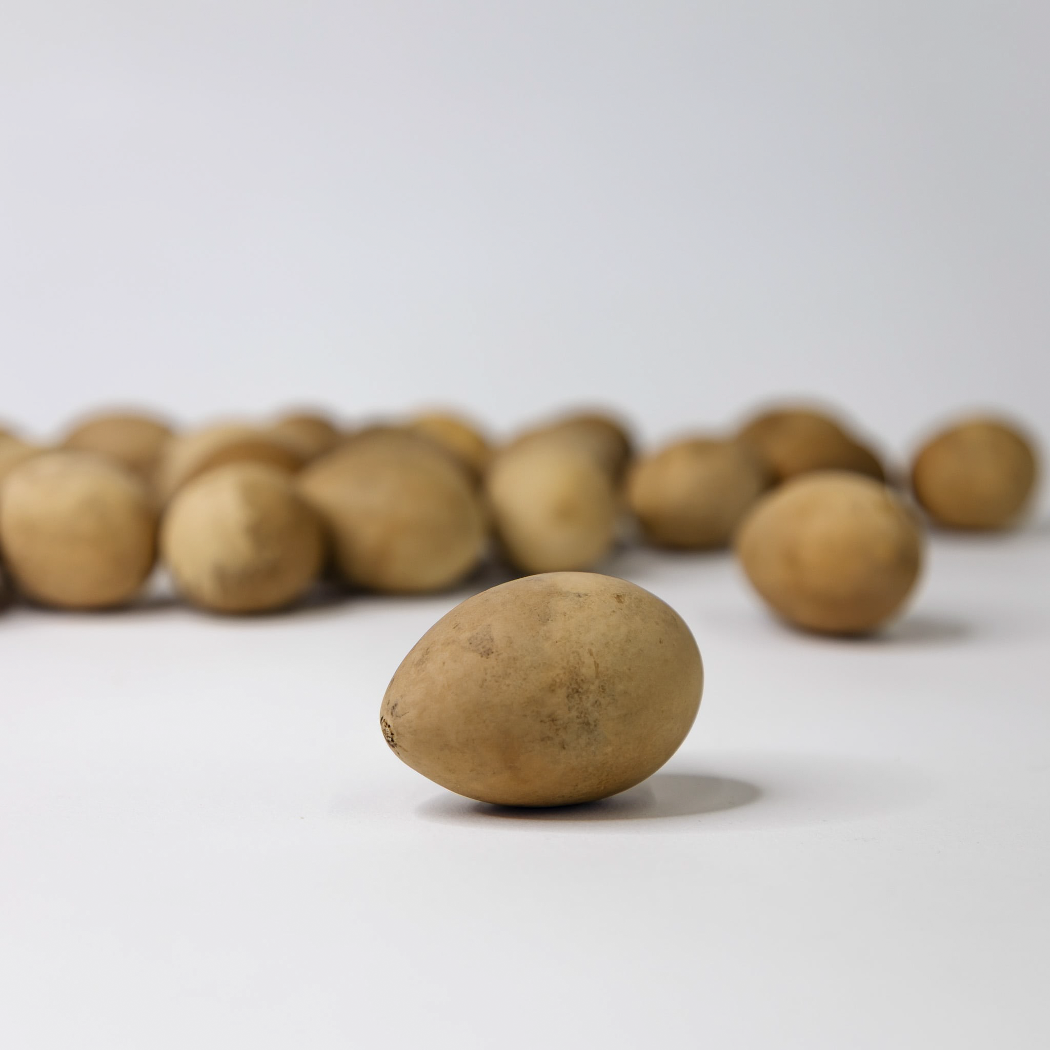 Dried Medium Gourd Eggs