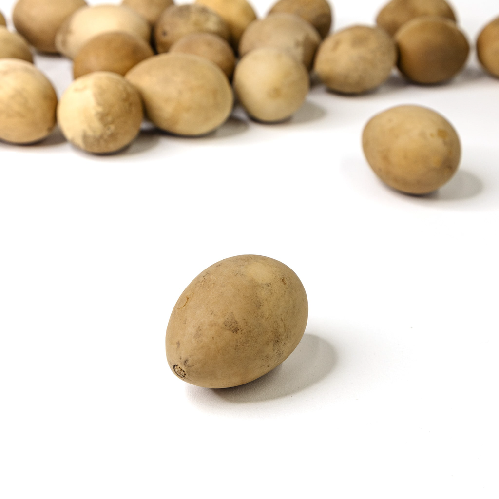 Dried Medium Gourd Eggs