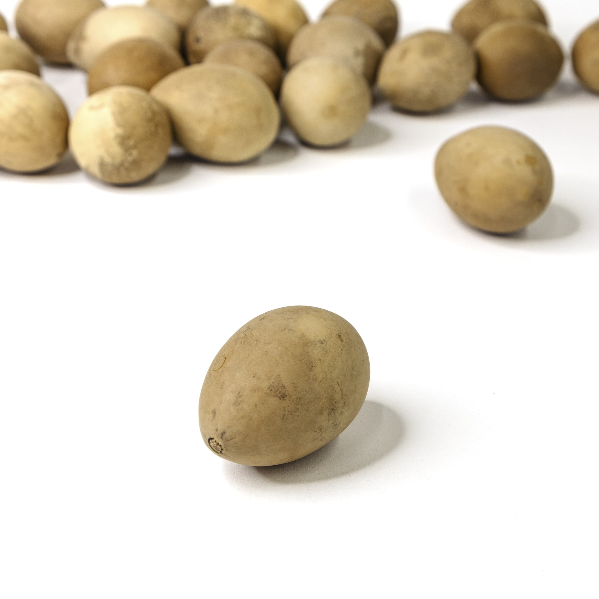 Dried Medium Gourd Eggs