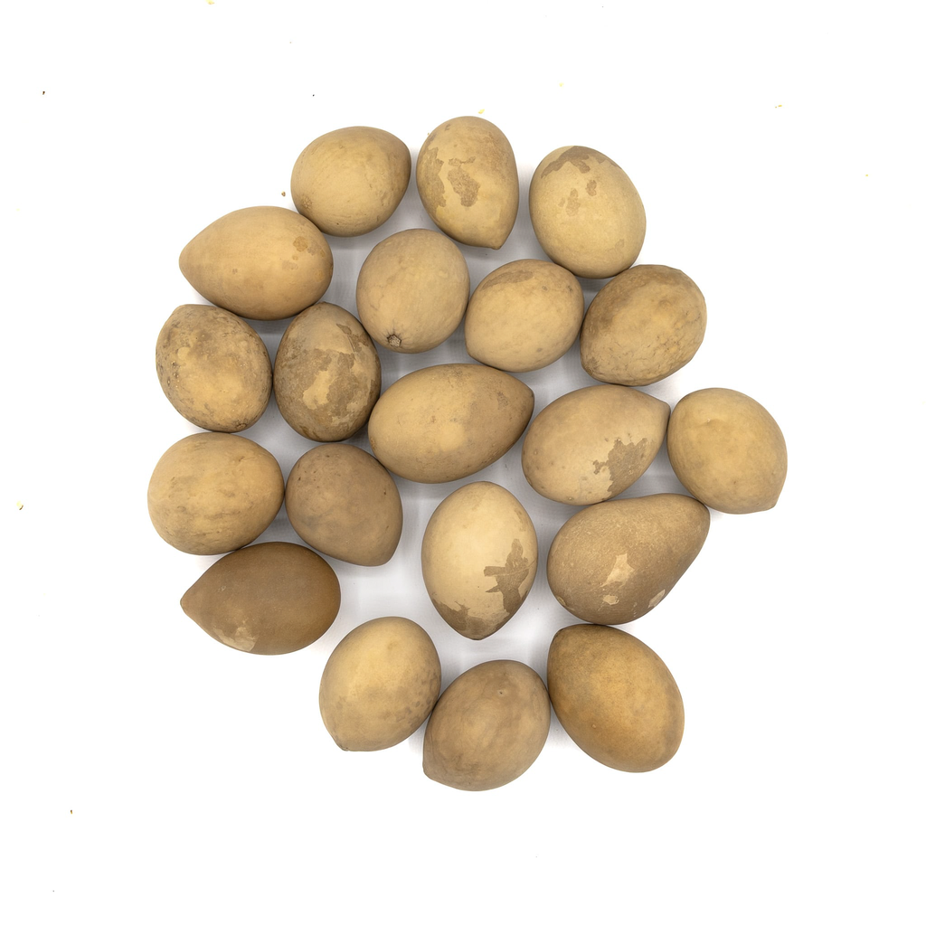 Dried Medium Gourd Eggs