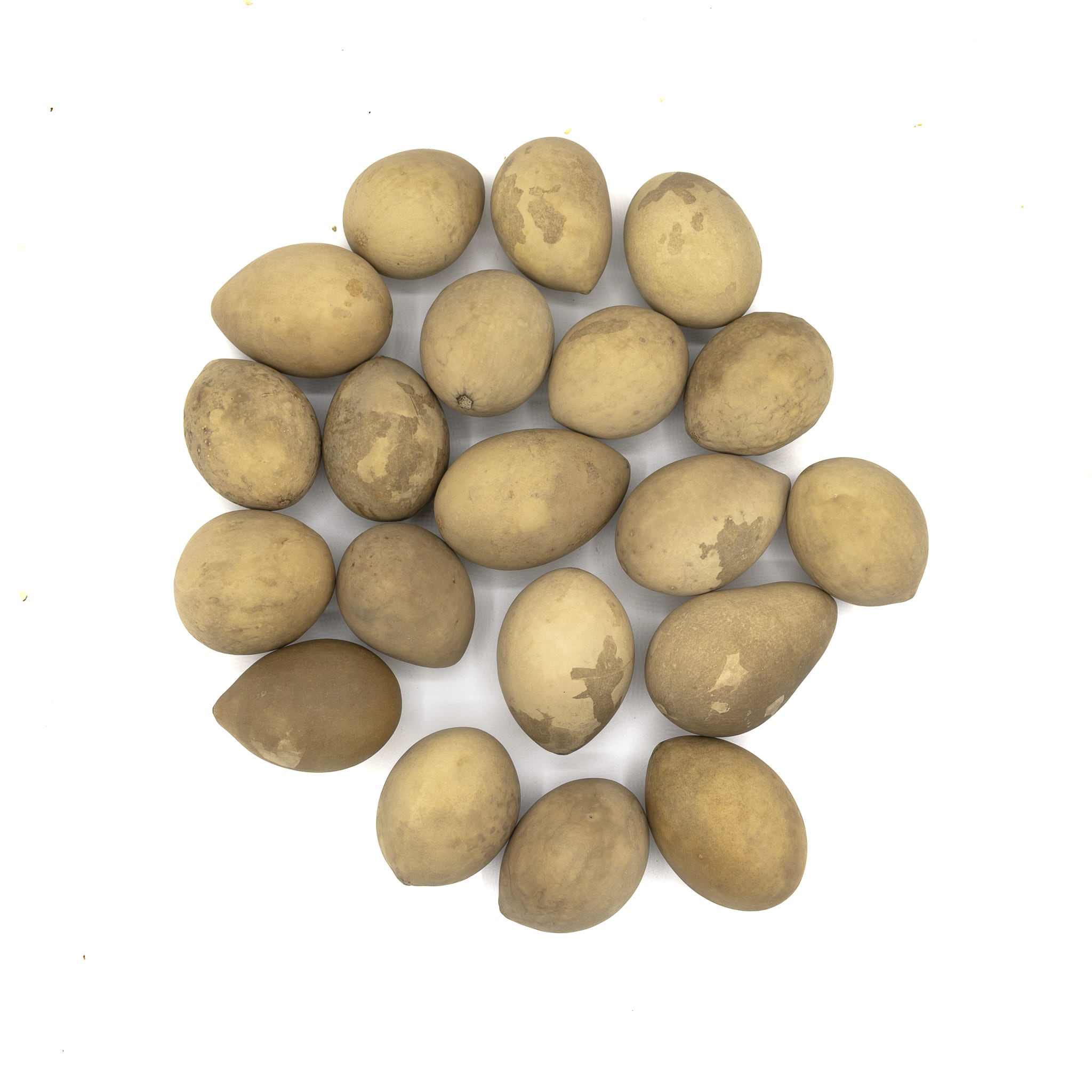 Dried Medium Gourd Eggs