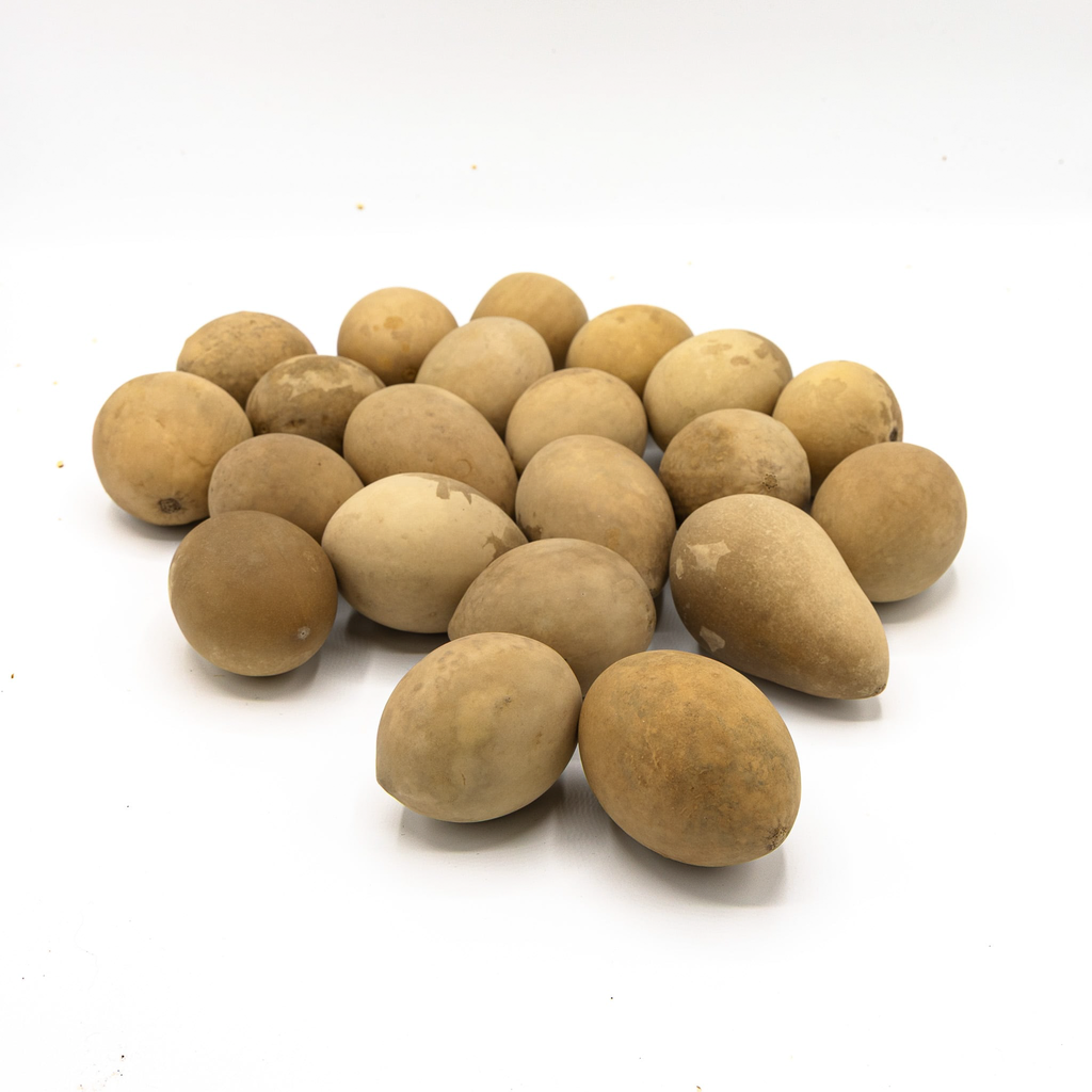 Dried Medium Gourd Eggs