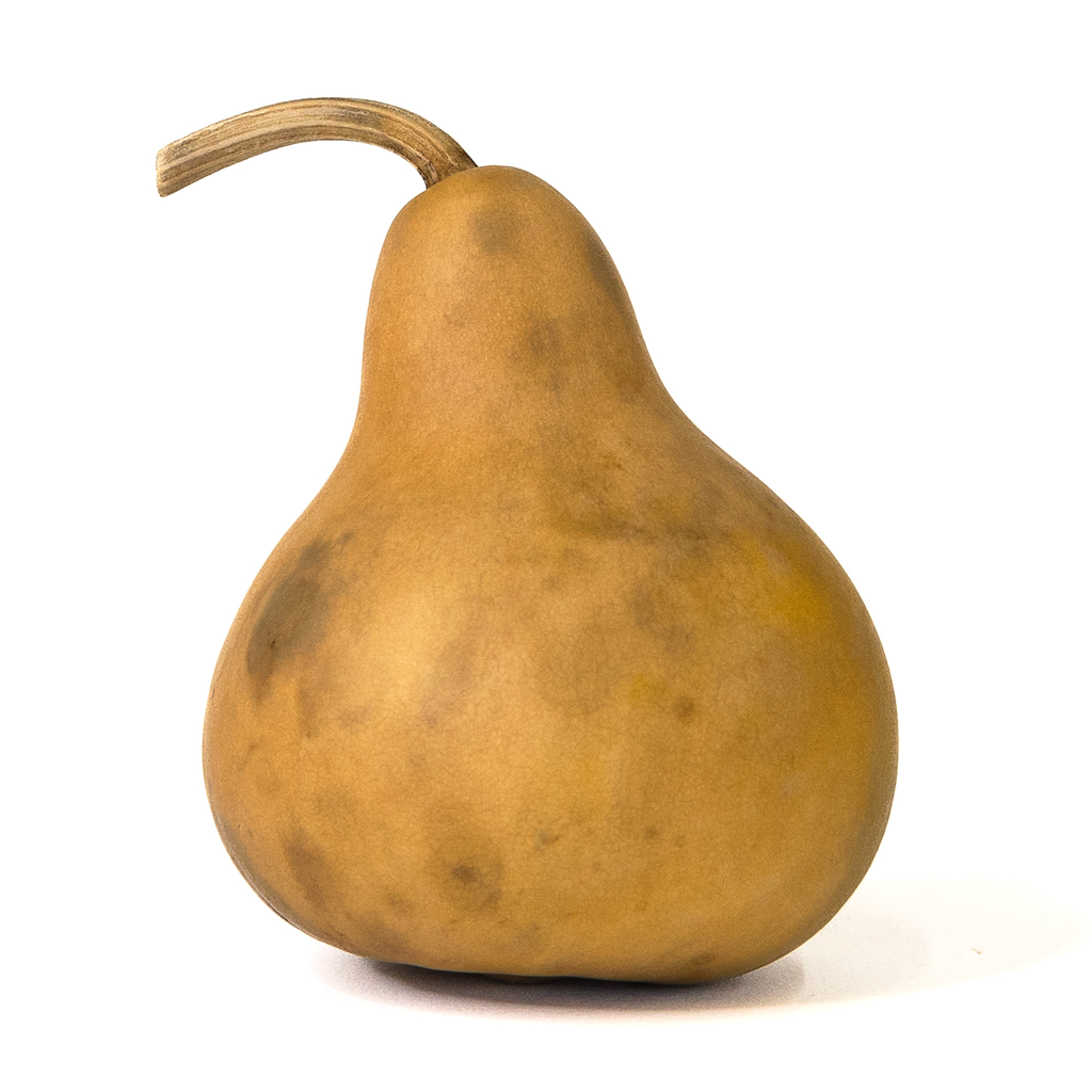 Dried Martin Gourd - 3" in Diameter