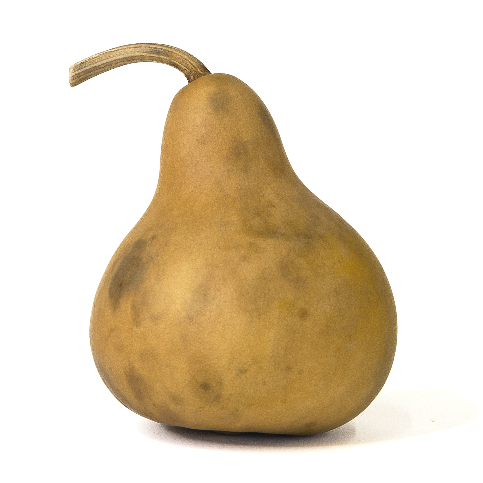 Dried Martin Gourd - 3" in Diameter