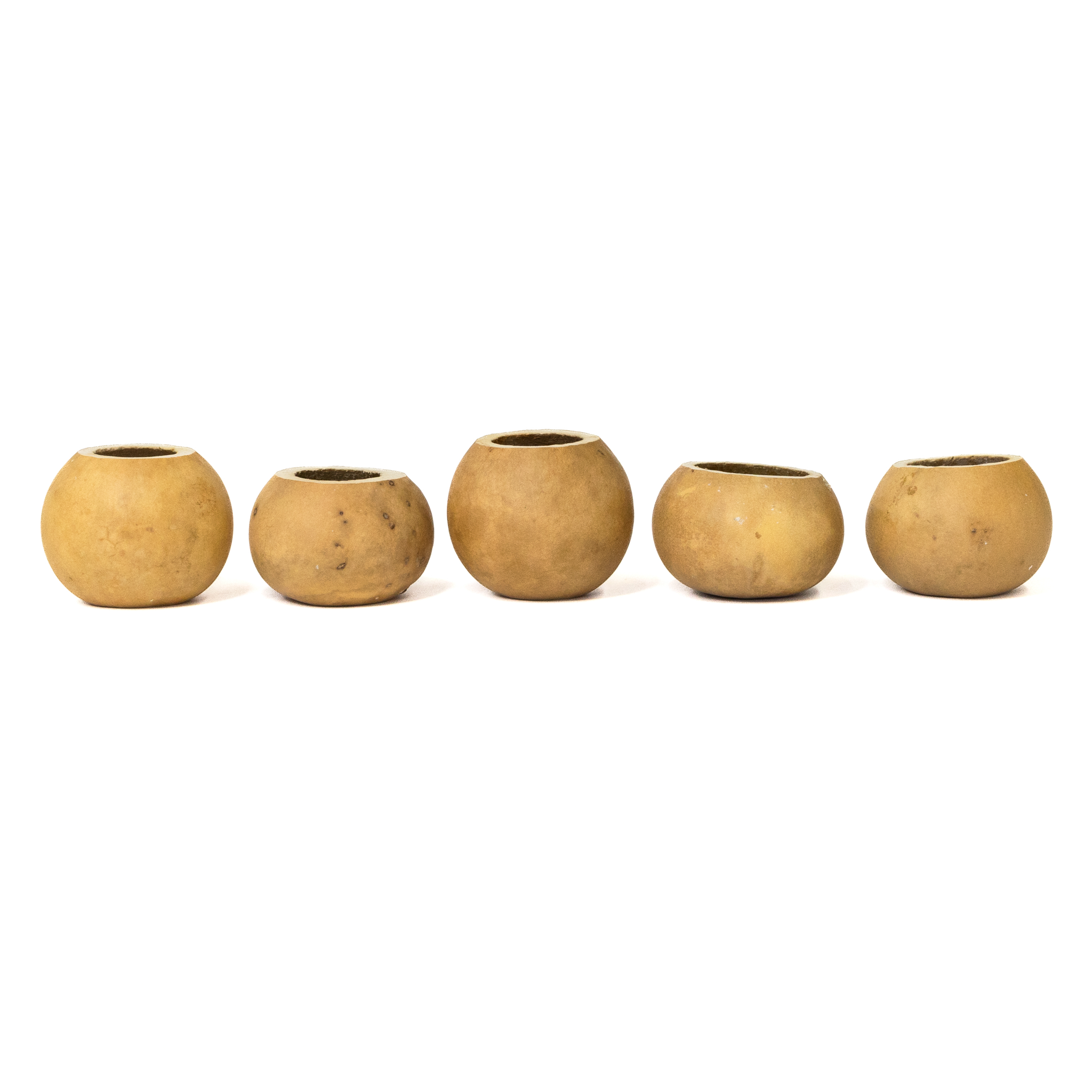Dried 2" Straight Cut Gourd Bowl