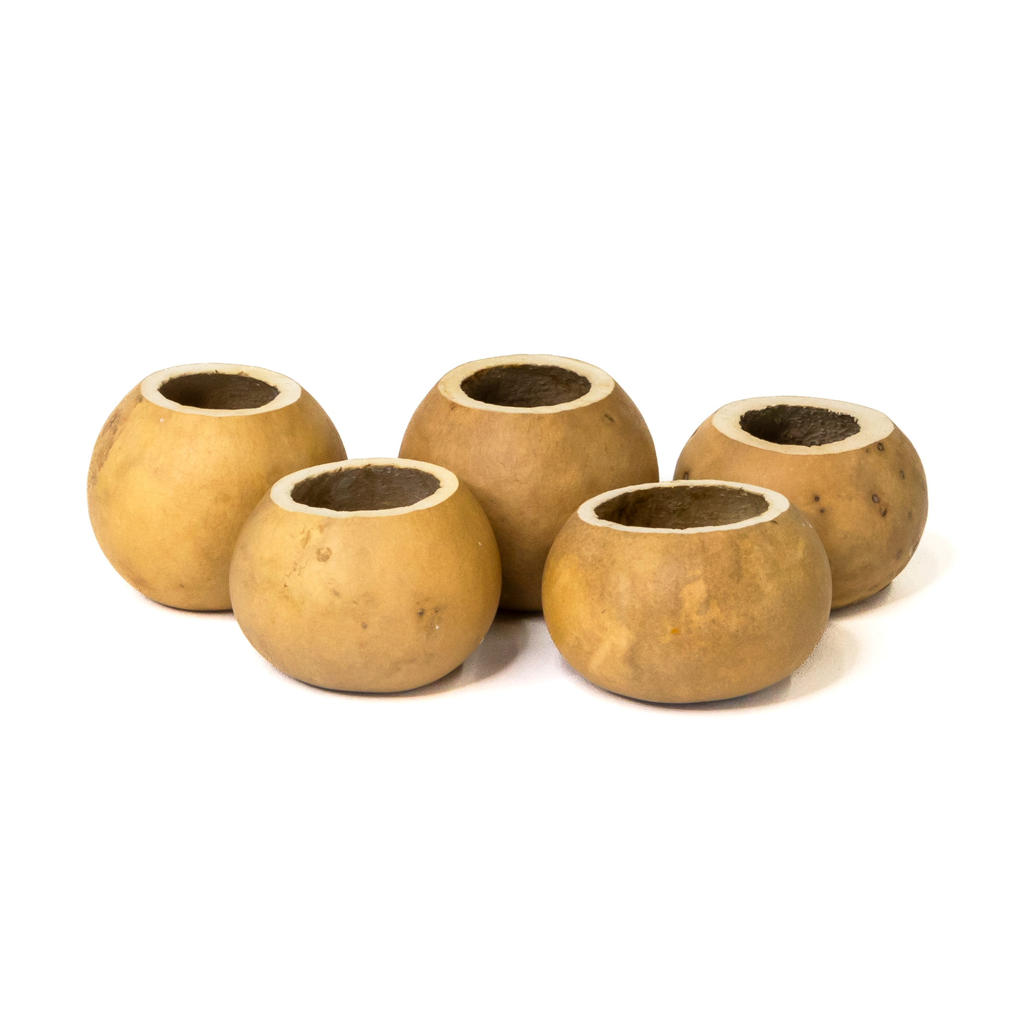 Dried 2" Straight Cut Gourd Bowl