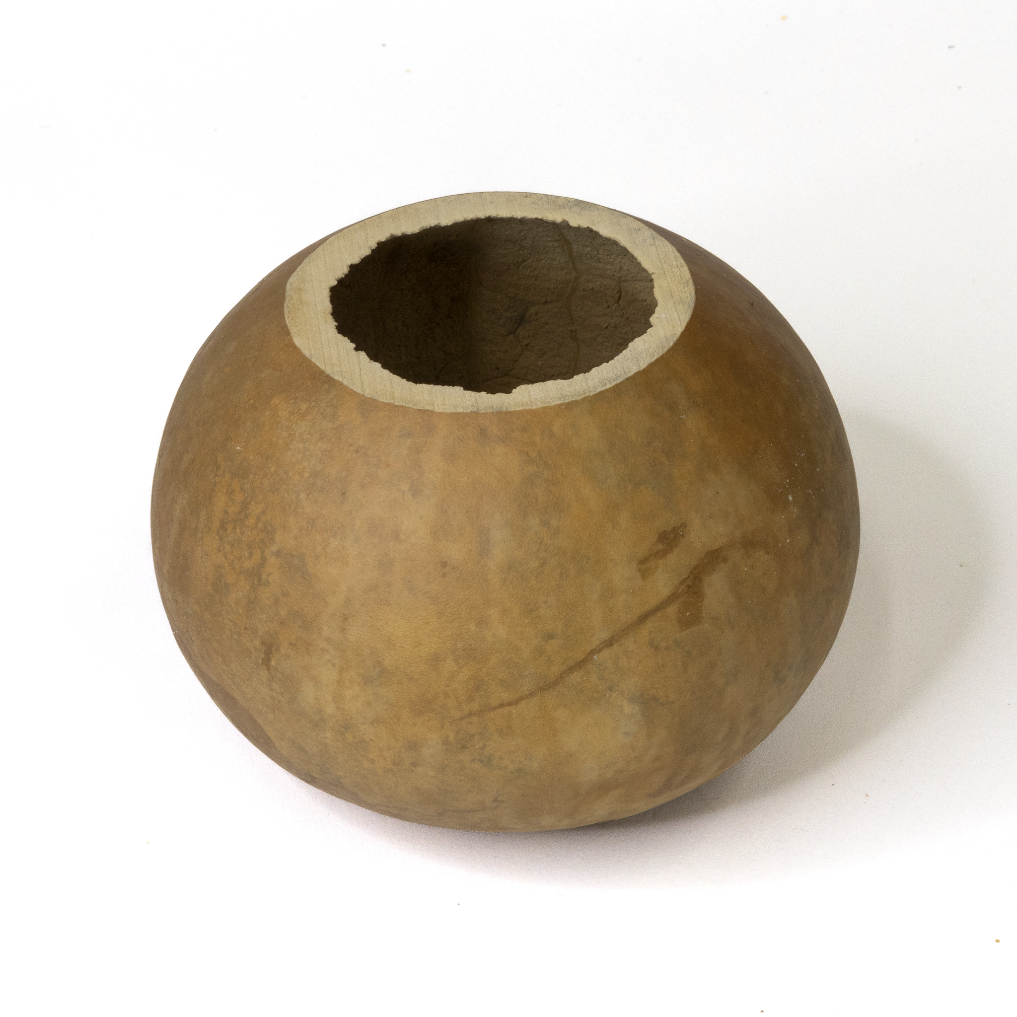 Dried 6" Straight Cut Gourd Bowl