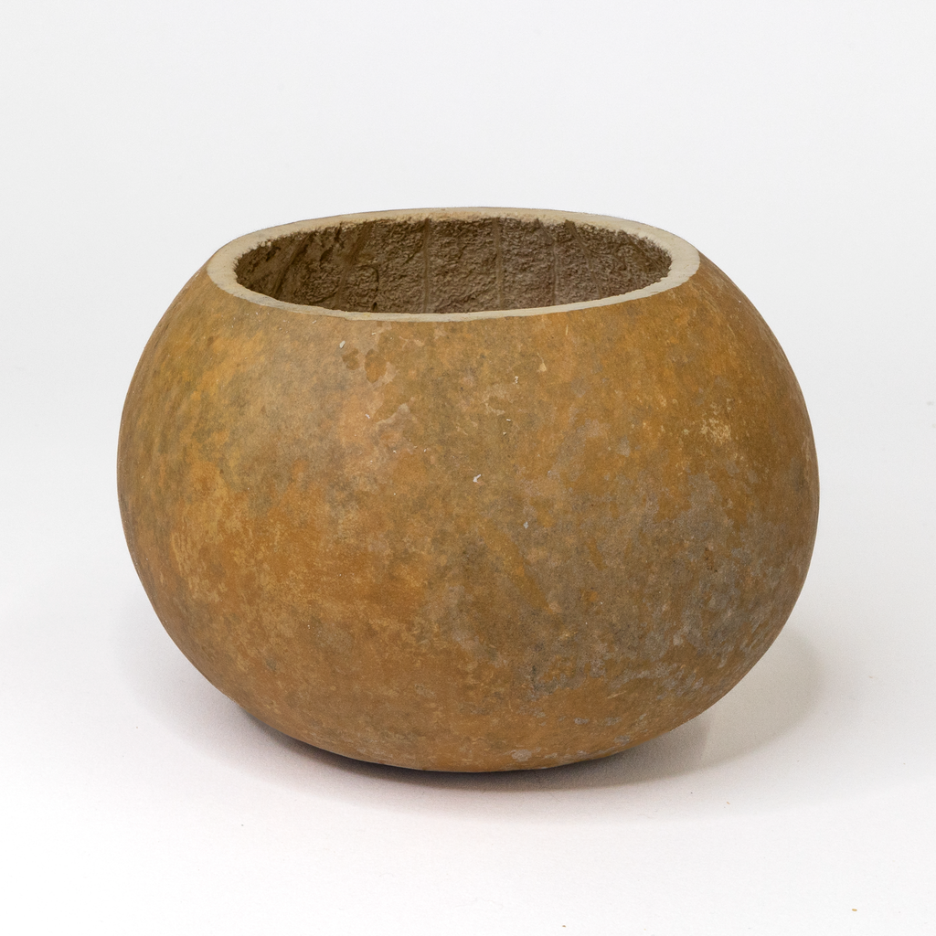 Dried 6" Straight Cut Gourd Bowl