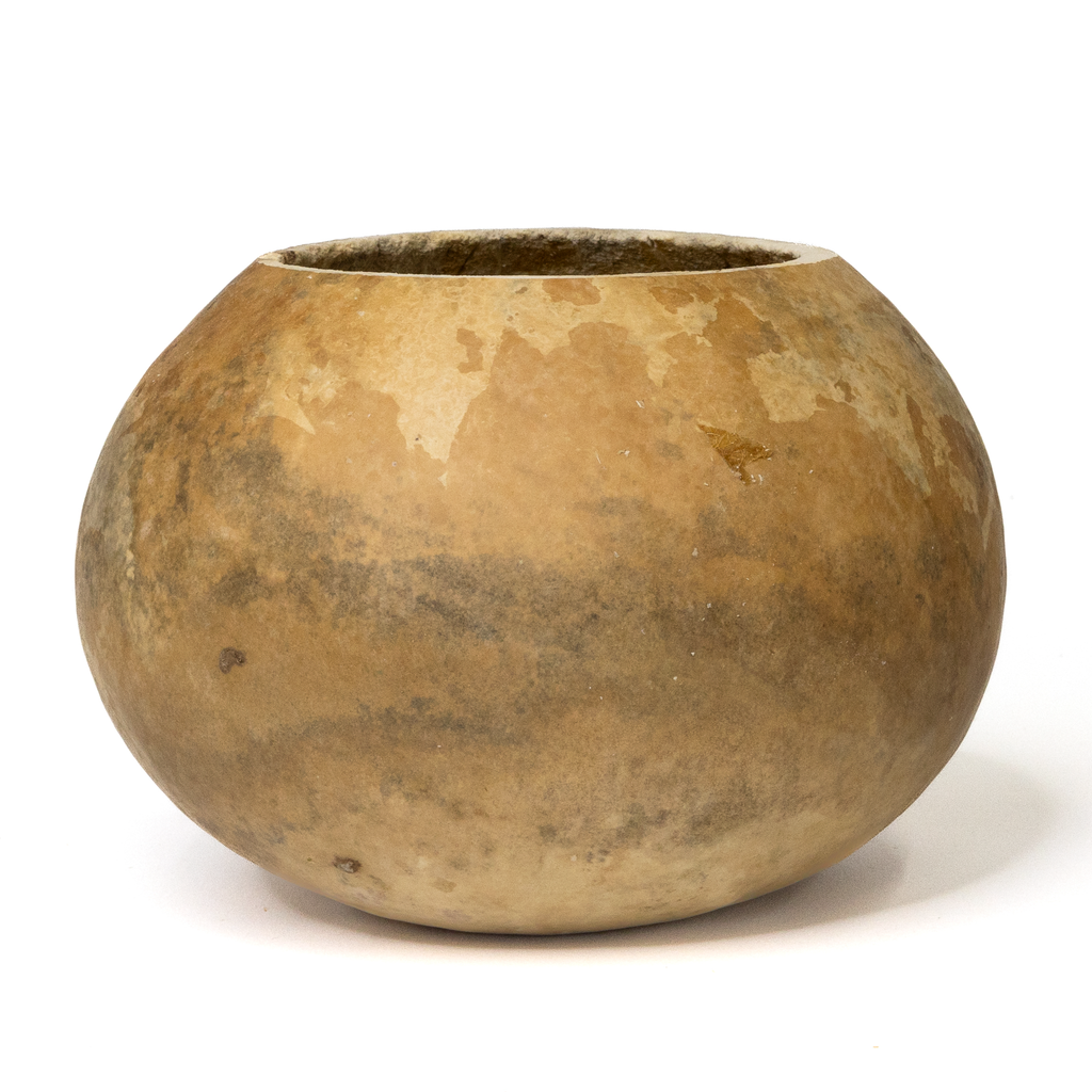Dried 6" Straight Cut Gourd Bowl