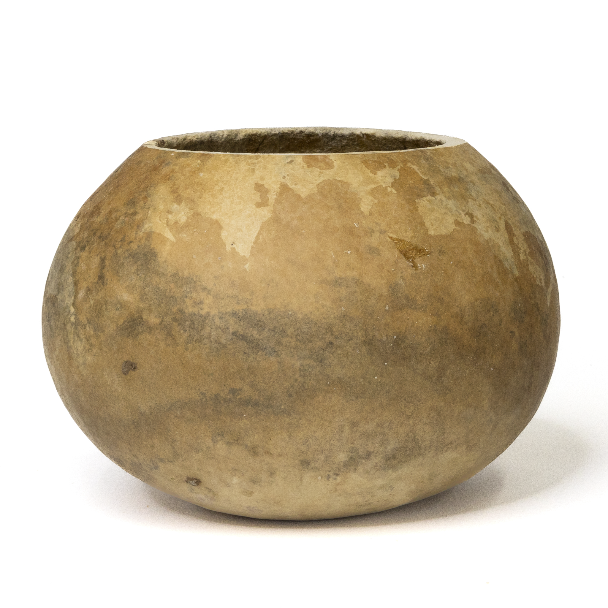 Dried 6" Straight Cut Gourd Bowl