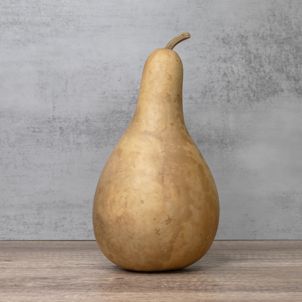 Dried 8-10" Penguin Gourd