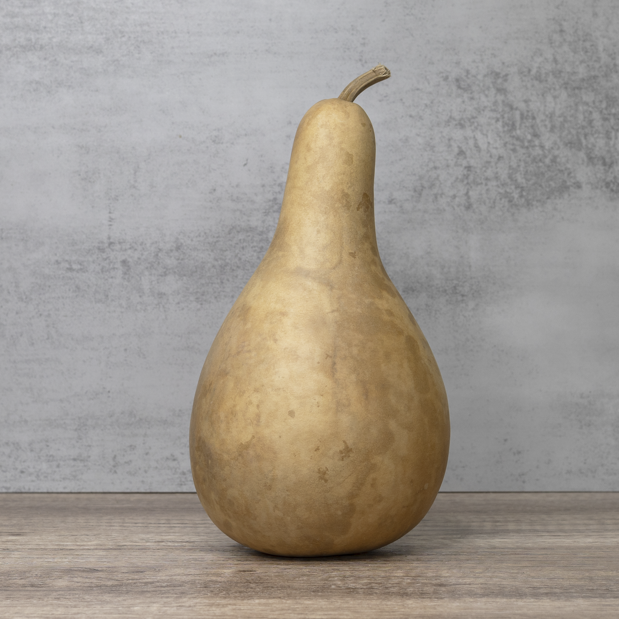 Dried 8-10" Penguin Gourd