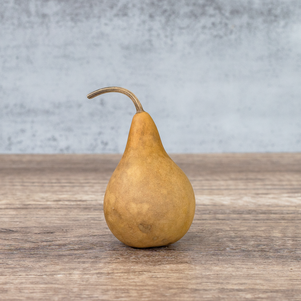 Dried Martin Gourd - 2" in Diameter
