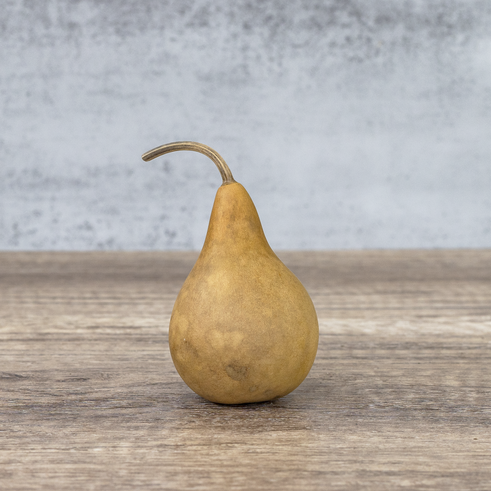 Dried Martin Gourd - 2" in Diameter