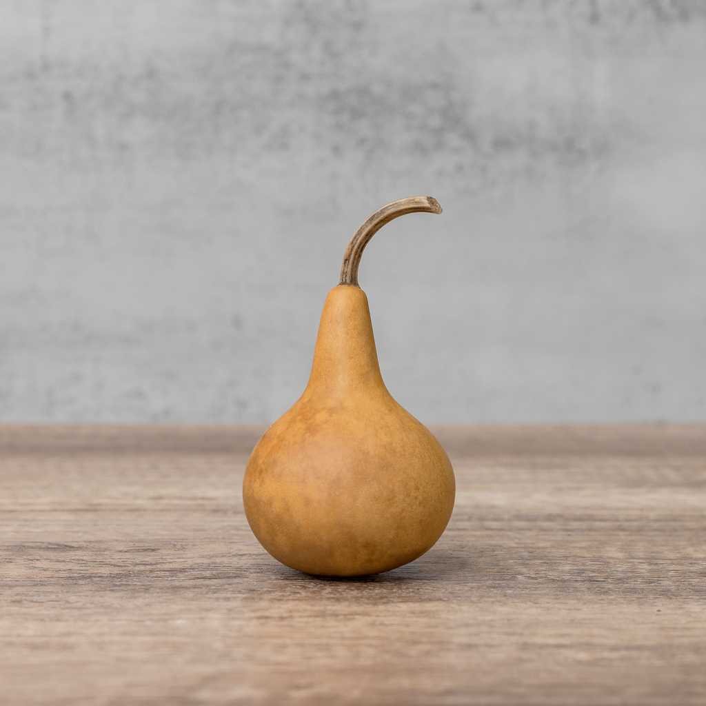 Dried Martin Gourd - 2" in Diameter