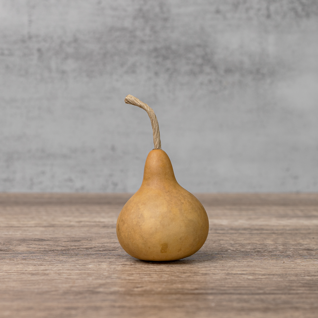 Dried Martin Gourd - 2" in Diameter
