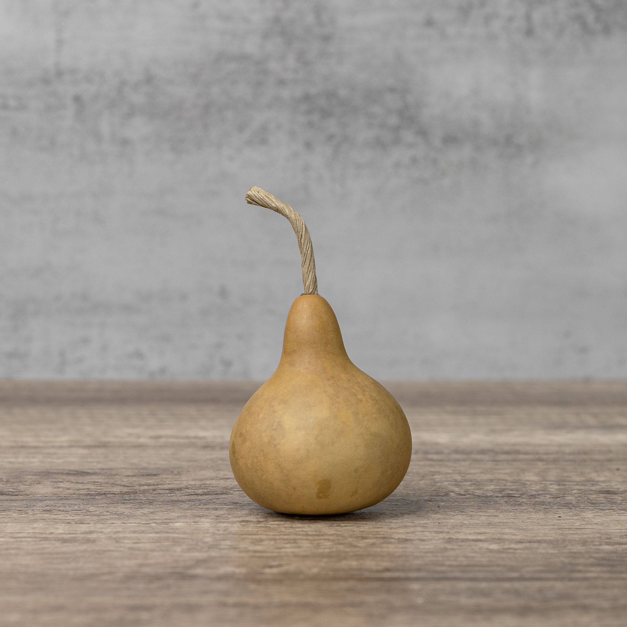Dried Martin Gourd - 2" in Diameter