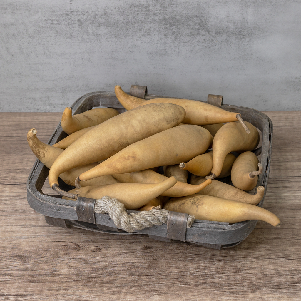 Dried Banana Gourd
