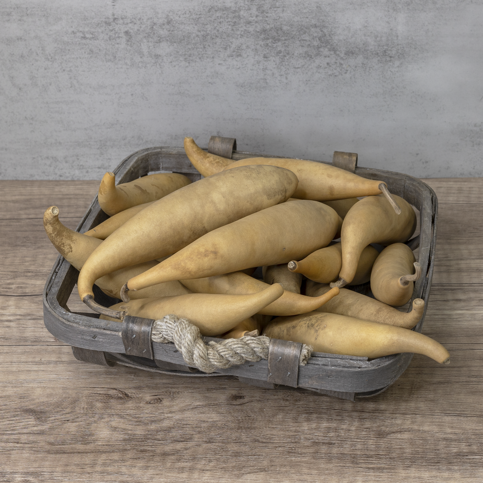 Dried Banana Gourd