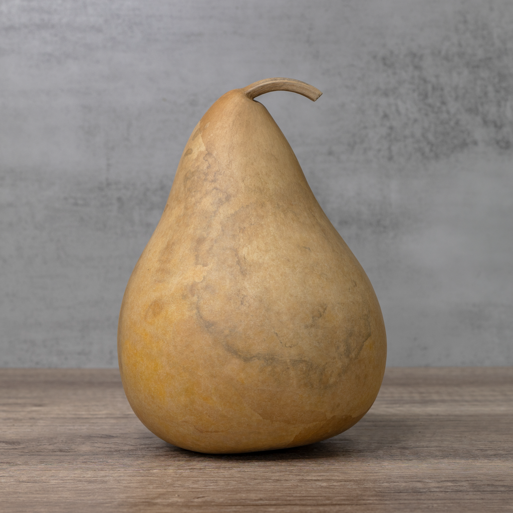 Dried Martin Gourd - 6" in Diameter