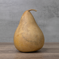 Dried Martin Gourd - 6" in Diameter