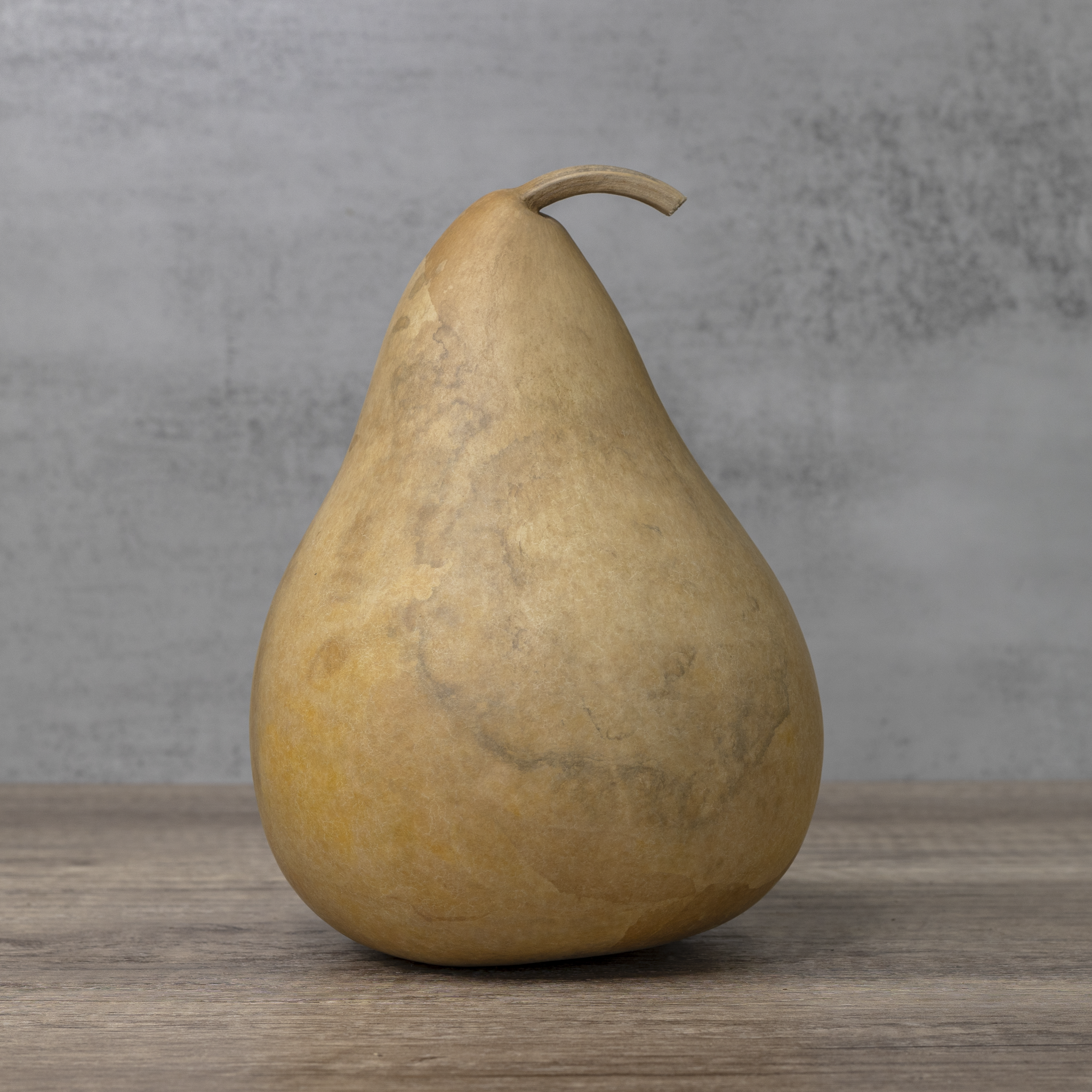 Dried Martin Gourd - 6" in Diameter