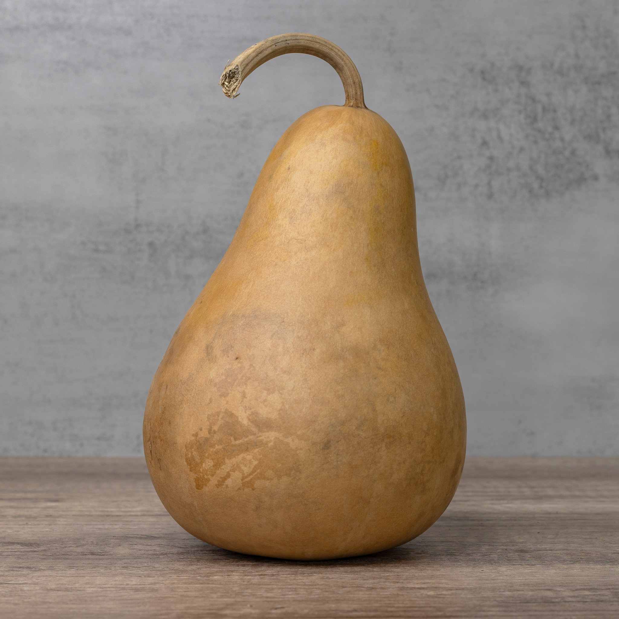 Dried Martin Gourd - 6" in Diameter