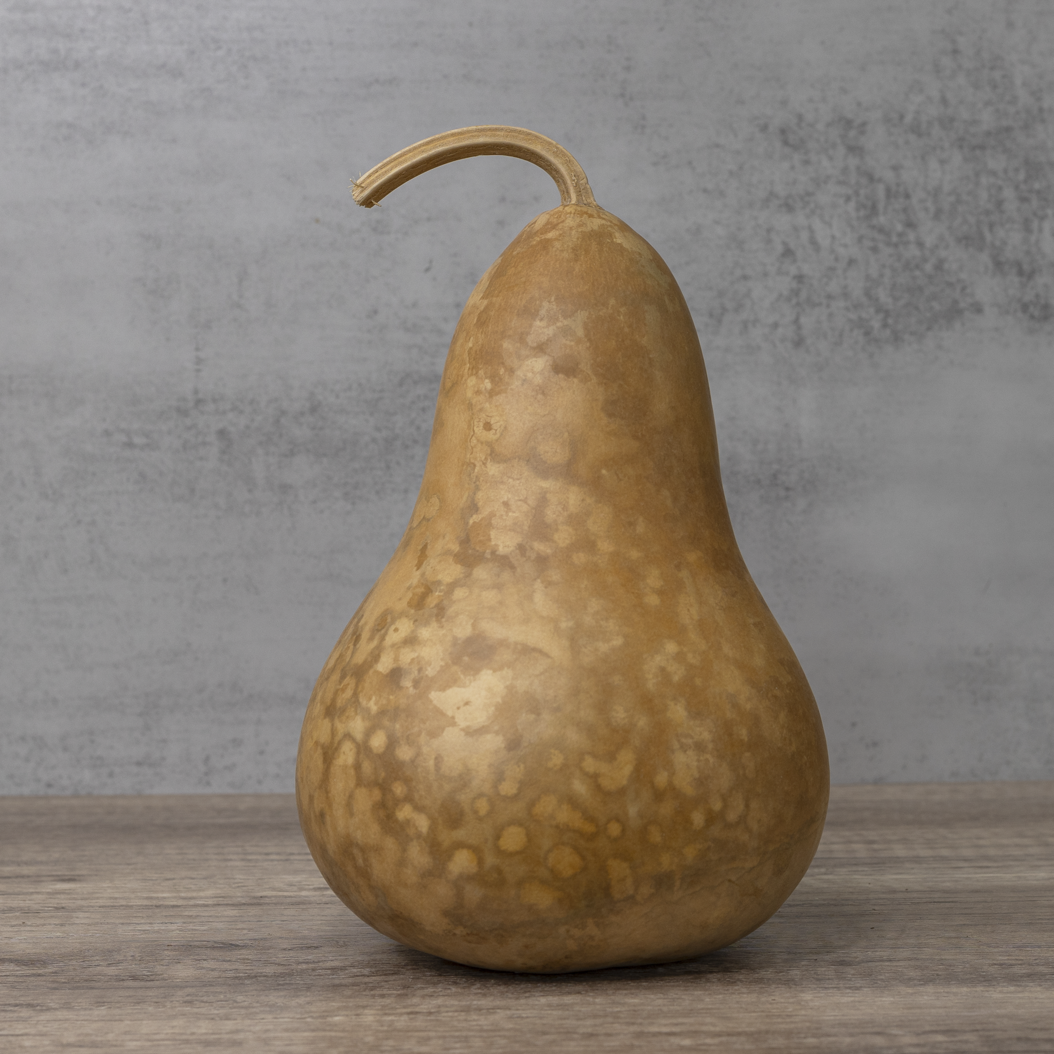 Dried Martin Gourd - 6" in Diameter