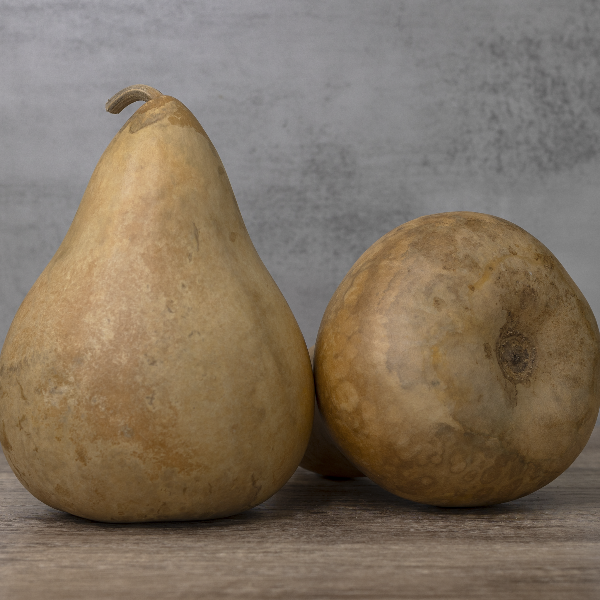 Dried Martin Gourd - 6" in Diameter