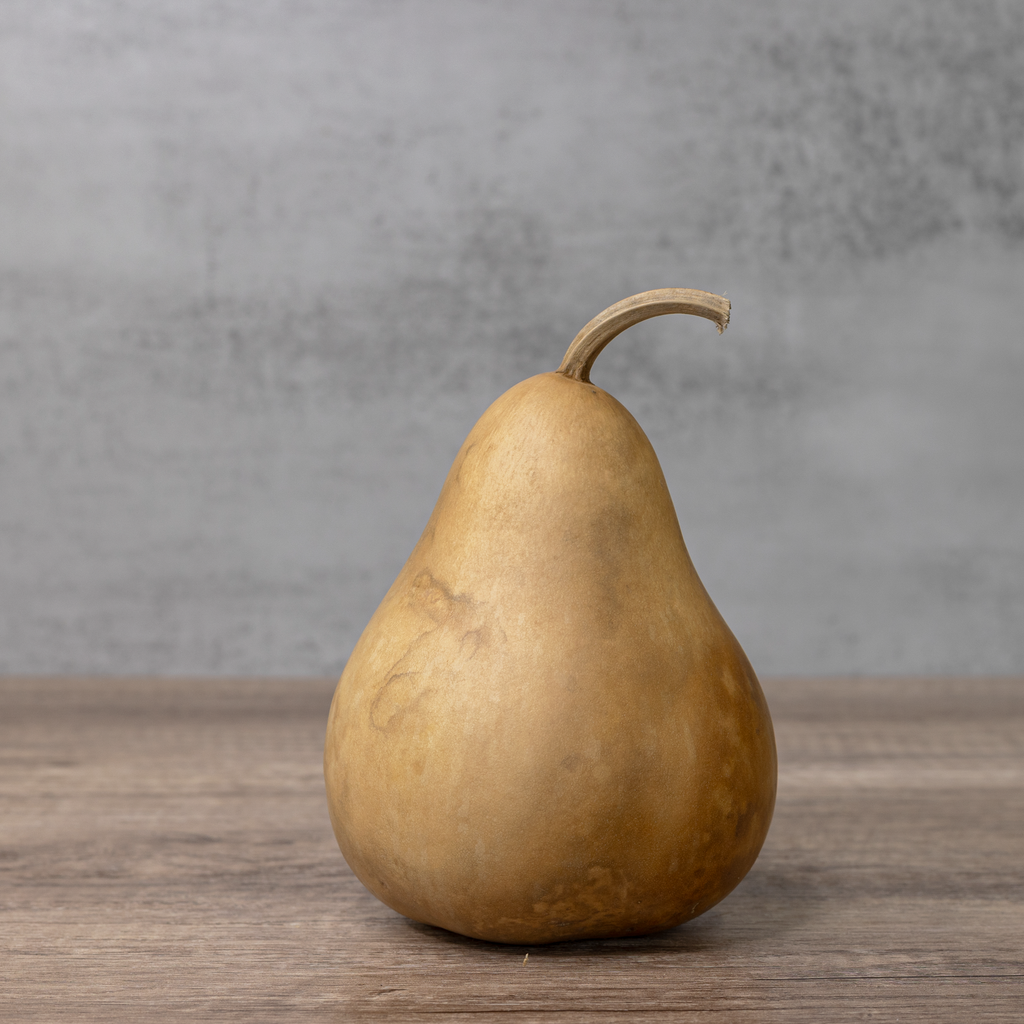 Dried Martin Gourd - 4" in Diameter
