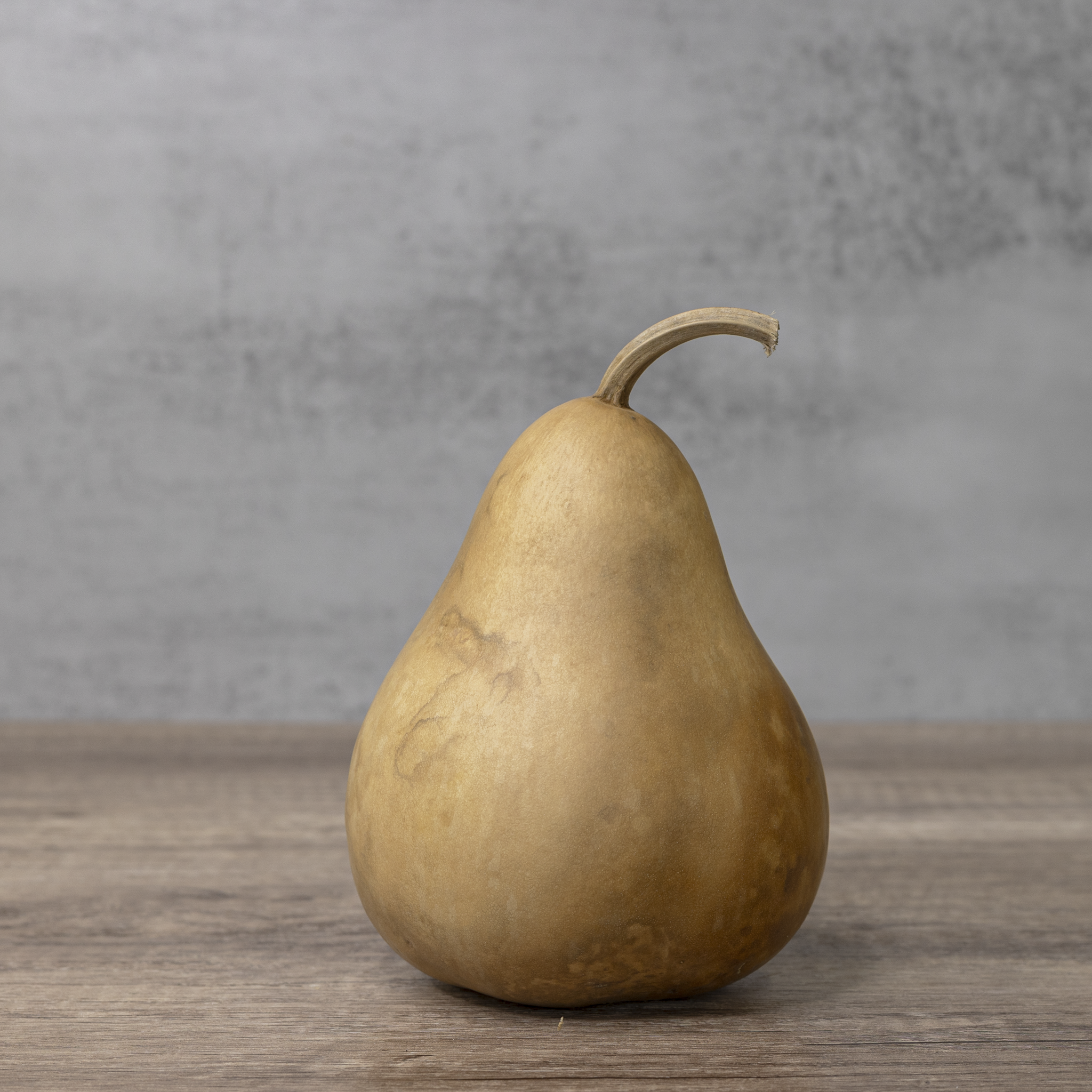 Dried Martin Gourd - 4" in Diameter