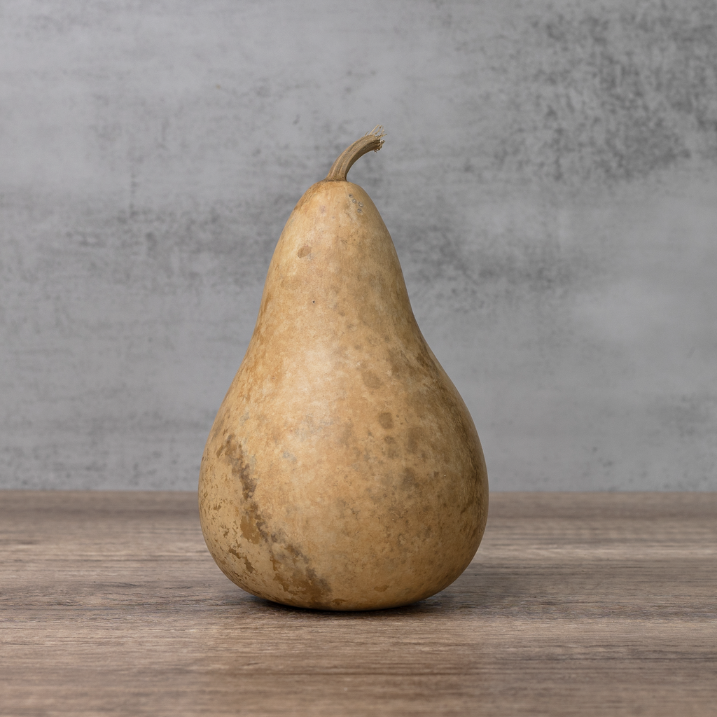 Dried Martin Gourd - 4" in Diameter