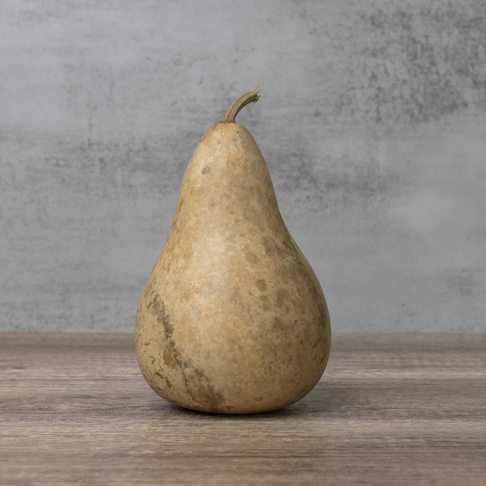 Dried Martin Gourd - 4" in Diameter