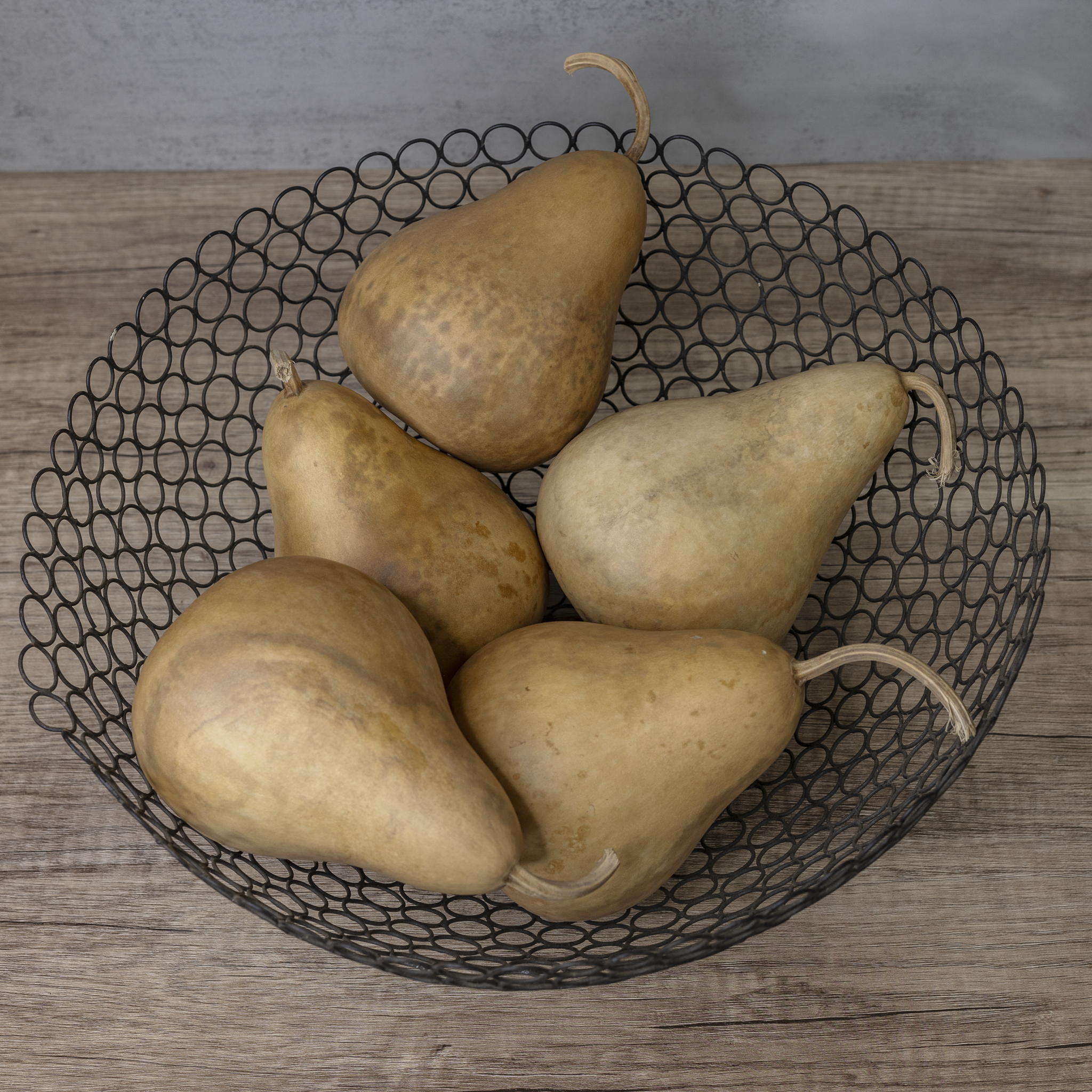 Dried Martin Gourd - 4" in Diameter