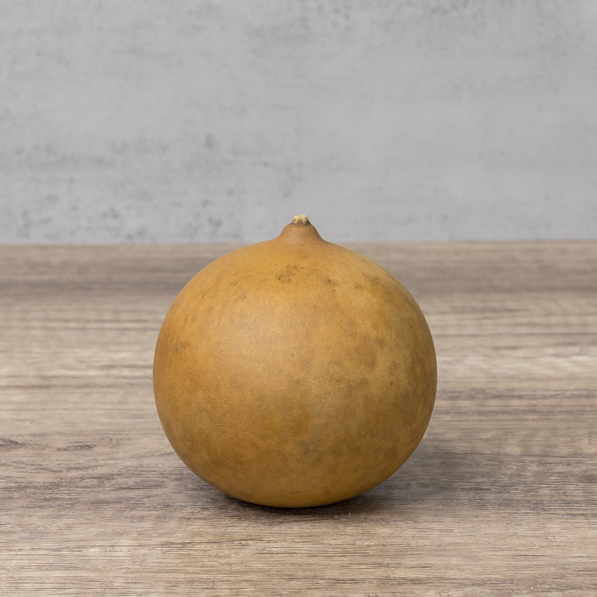 Dried Cannonball Gourd - 3" Diameter