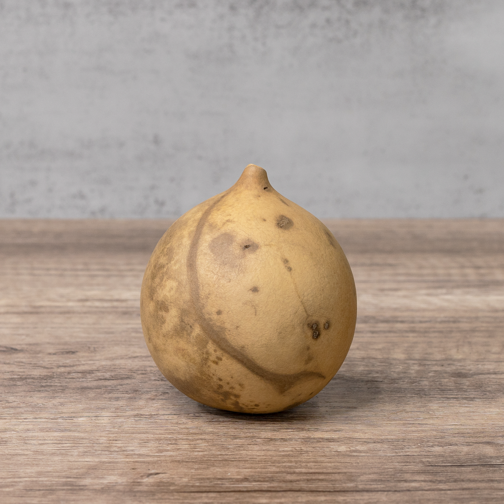 Dried Cannonball Gourd - 3" Diameter
