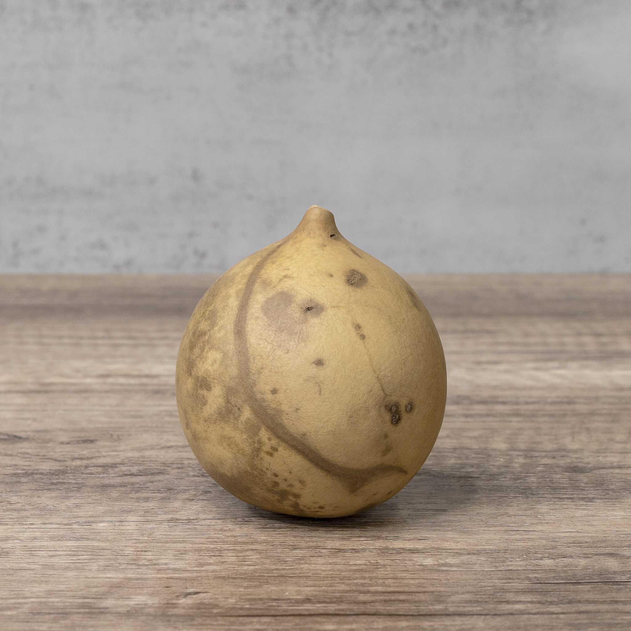 Dried Cannonball Gourd - 3" Diameter