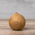 Dried Cannonball Gourd - 3" Diameter